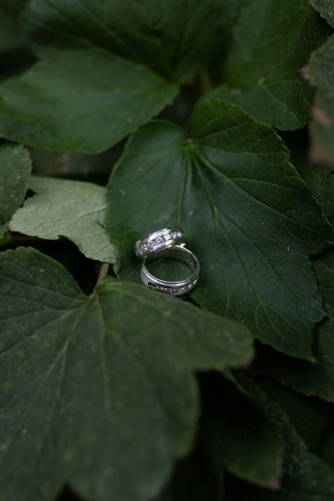 wedding bands on dark green leaves