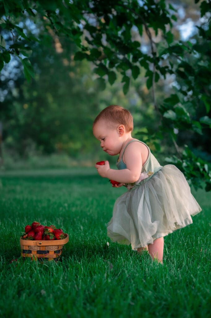 one year old eating strawberries during portrait session