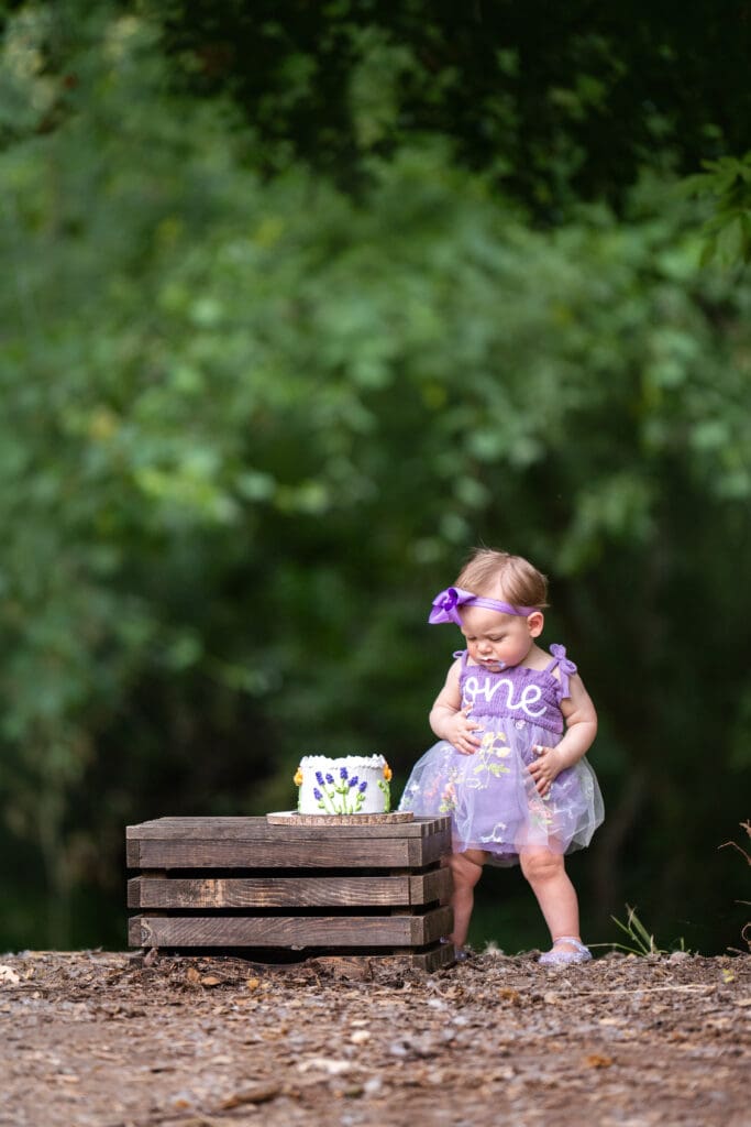 One year photoshoot cake smash
