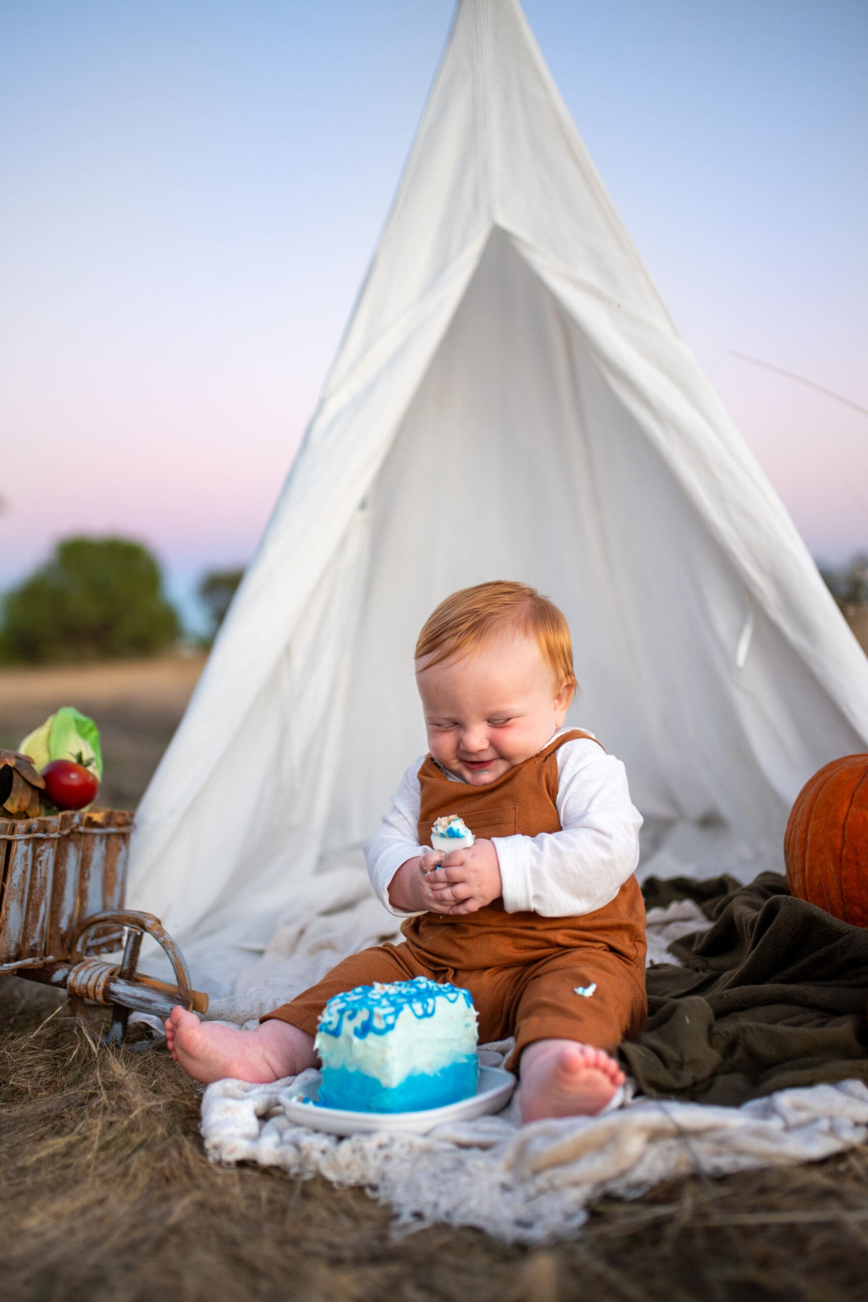 one year cake smash session boy on farm